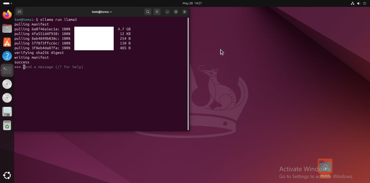 Llama3 running in terminal